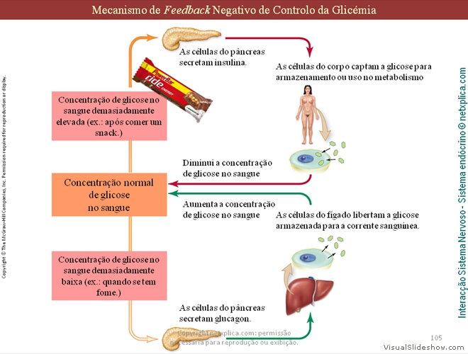 Diapositivo105