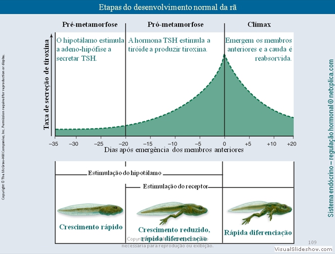 Diapositivo109