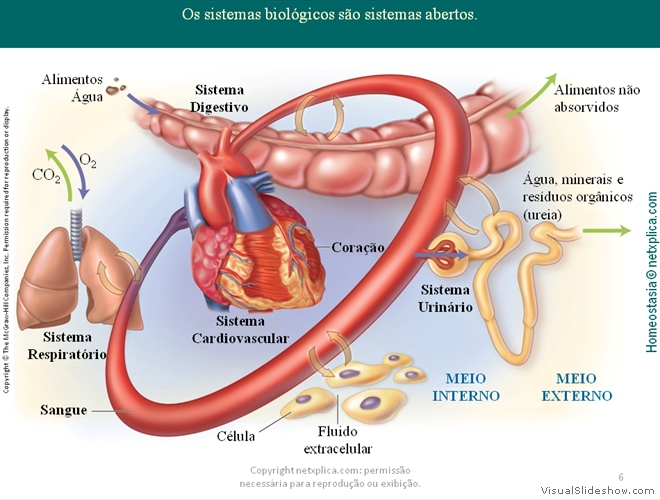 Diapositivo6