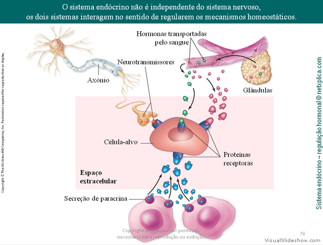 Diapositivo76