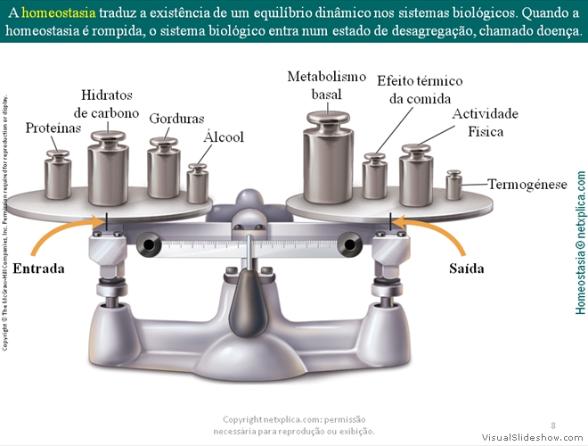 Diapositivo8