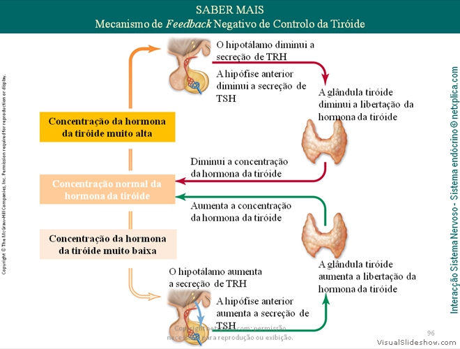 Diapositivo96