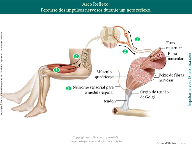 Diapositivo14