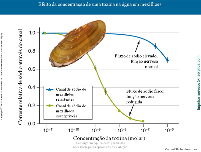 Diapositivo51