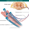 Diapositivo16