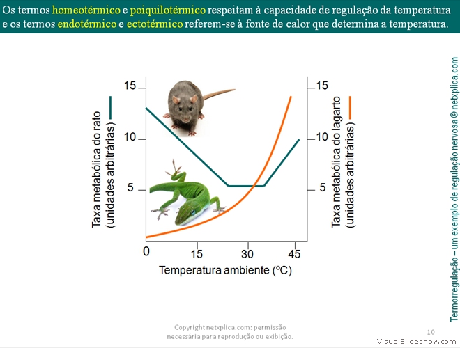 Diapositivo10