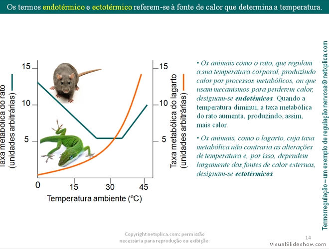 Diapositivo14