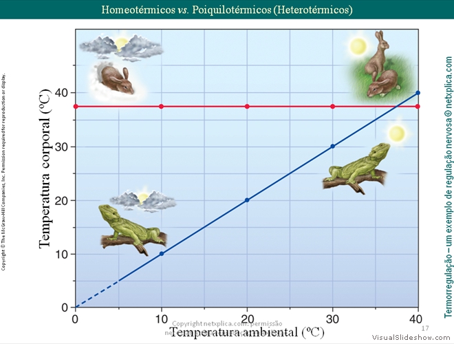 Diapositivo17