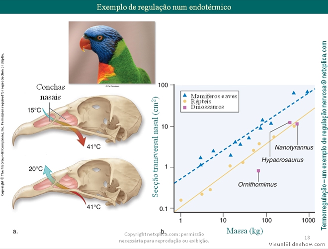 Diapositivo18