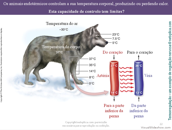 Diapositivo22