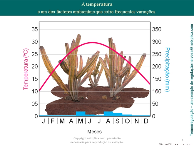 Diapositivo4