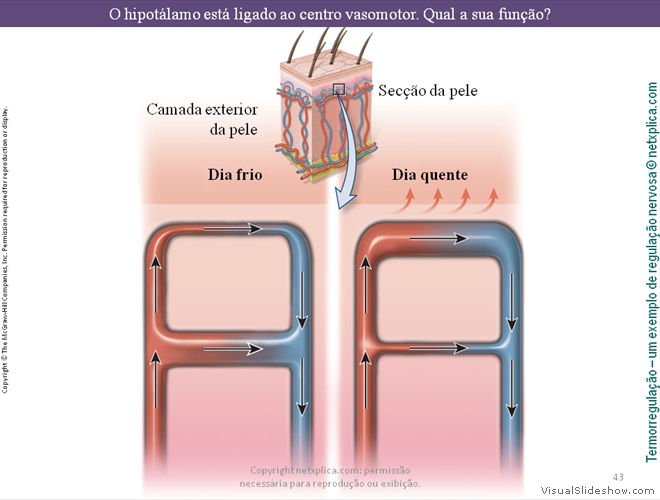 Diapositivo43