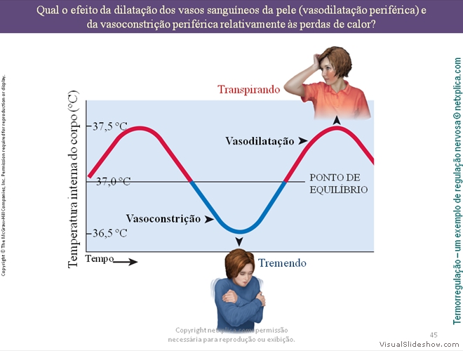 Diapositivo45