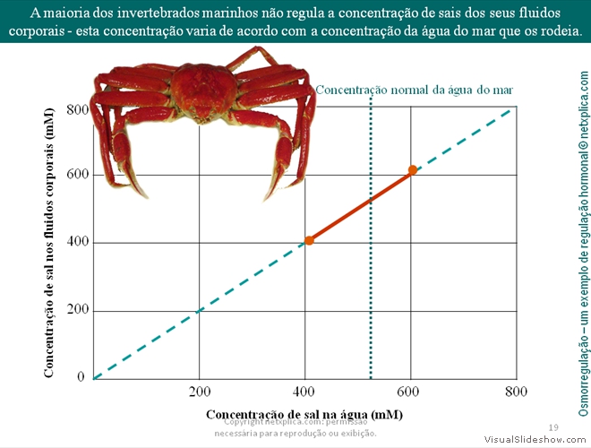 Diapositivo19