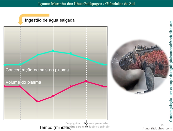 Diapositivo85