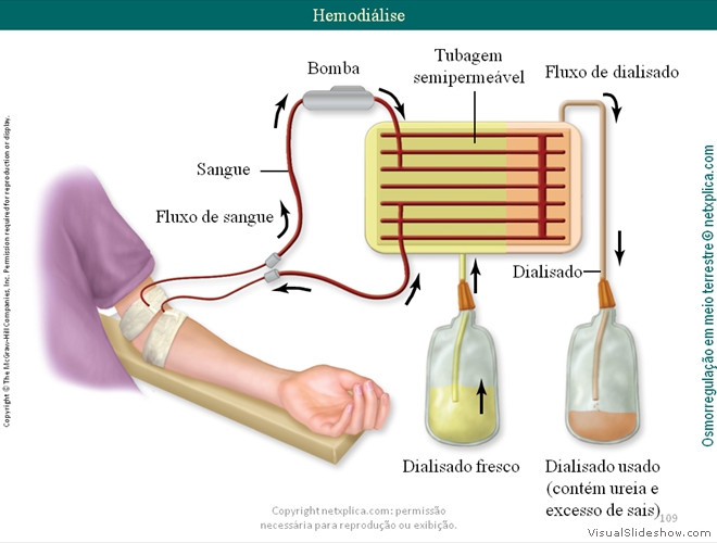 Diapositivo109