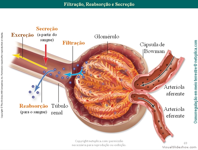 Diapositivo69