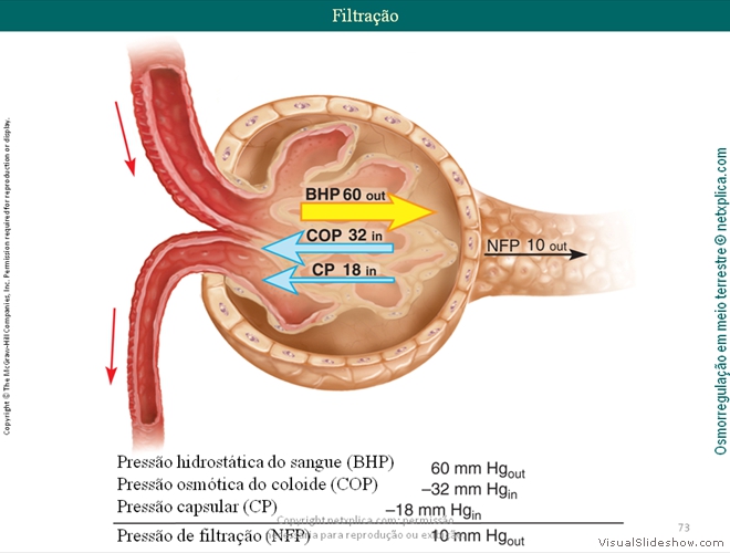 Diapositivo73