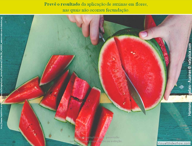 Diapositivo107