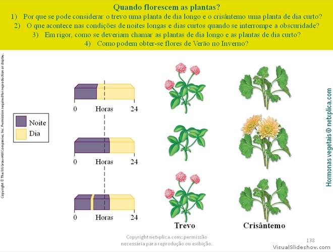 Diapositivo138