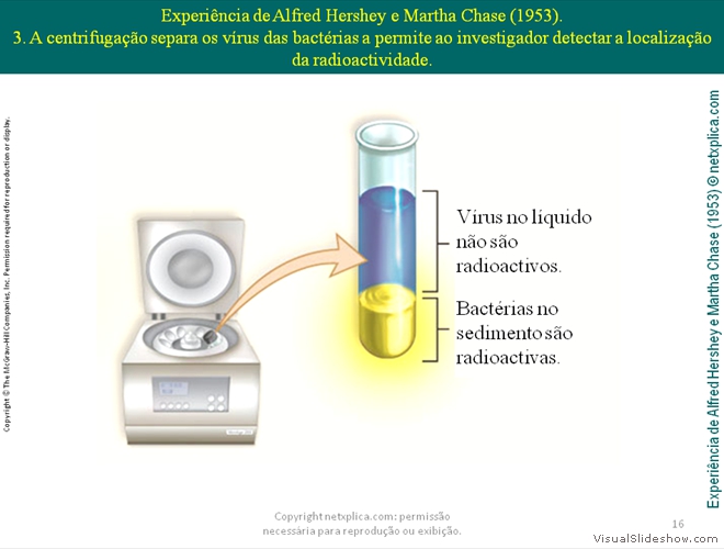 Diapositivo16