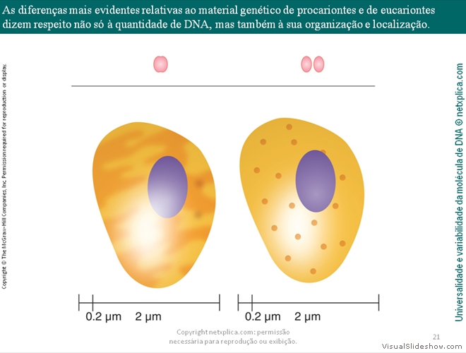 Diapositivo21