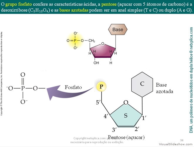 Diapositivo34