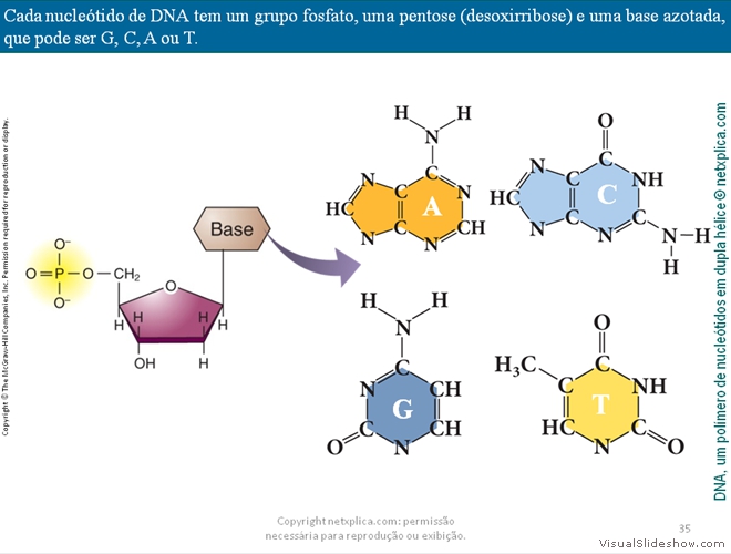 Diapositivo35