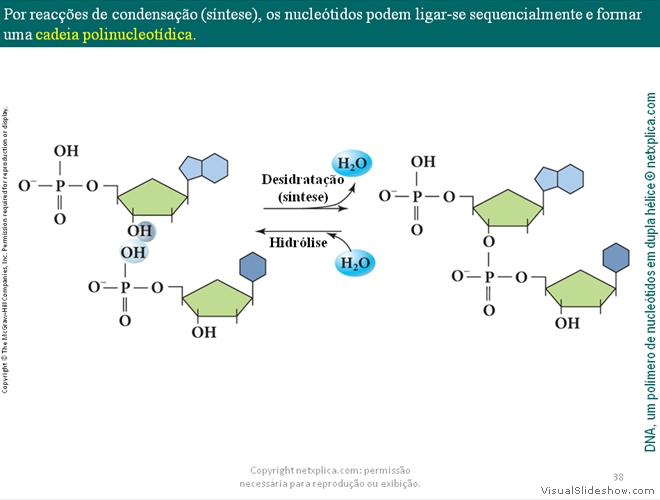 Diapositivo38