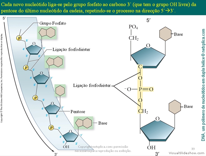 Diapositivo39