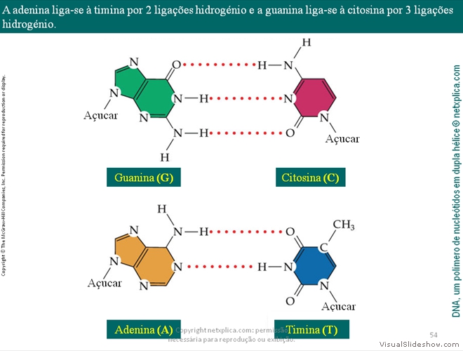 Diapositivo54