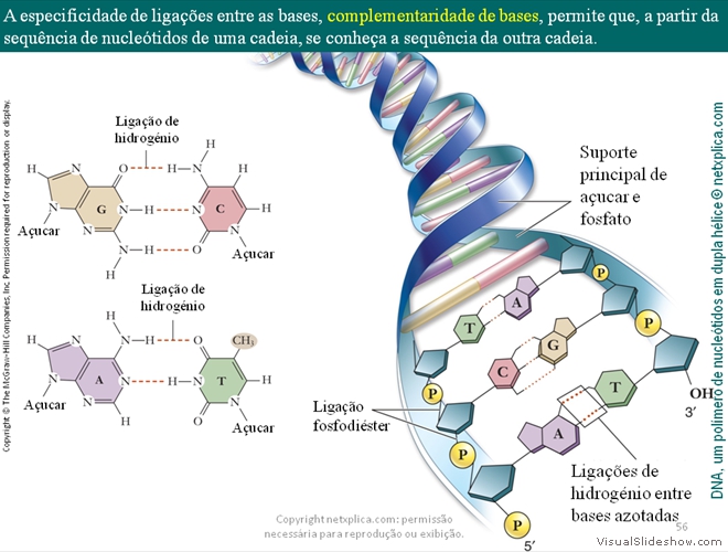 Diapositivo56