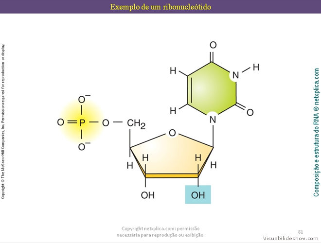 Diapositivo81