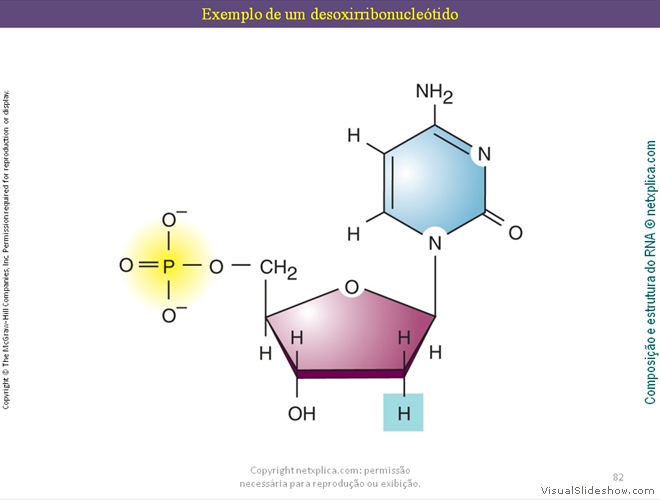 Diapositivo82