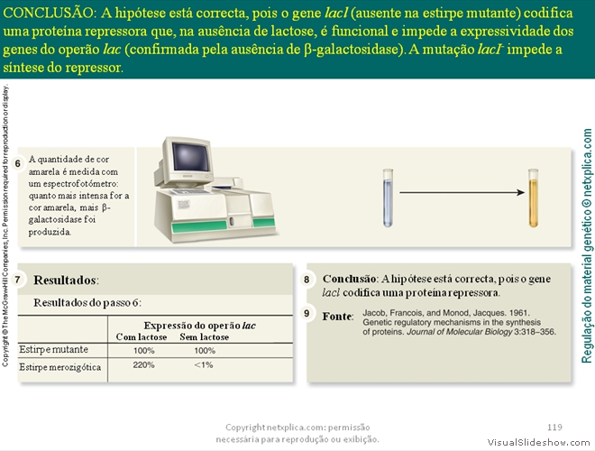 Diapositivo119