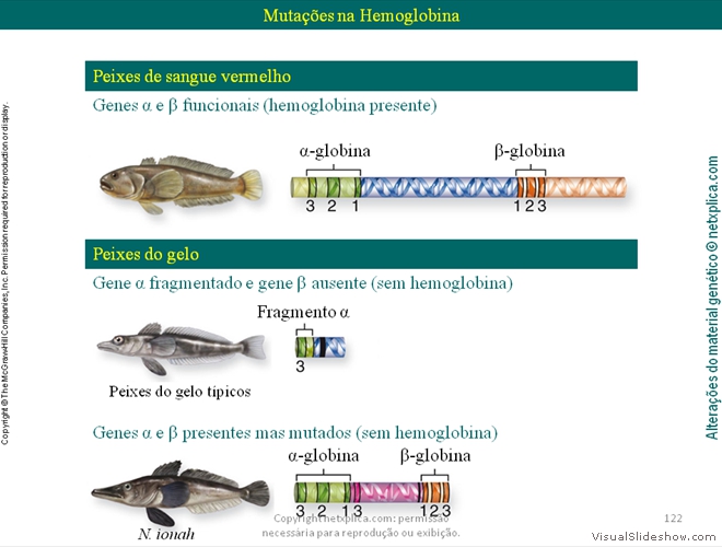 Diapositivo122