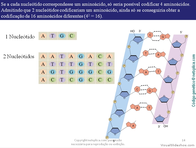 Diapositivo14