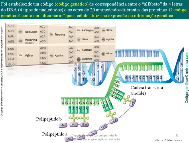 Diapositivo32