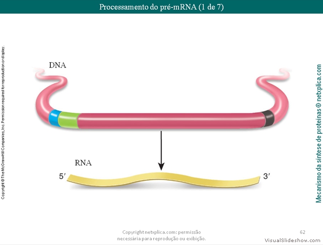 Diapositivo62