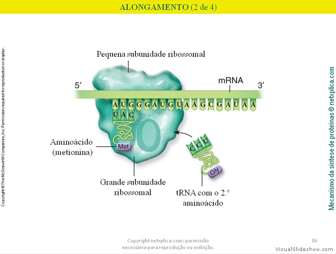 Diapositivo86