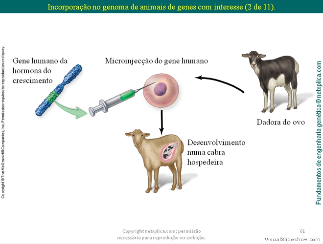 Diapositivo61