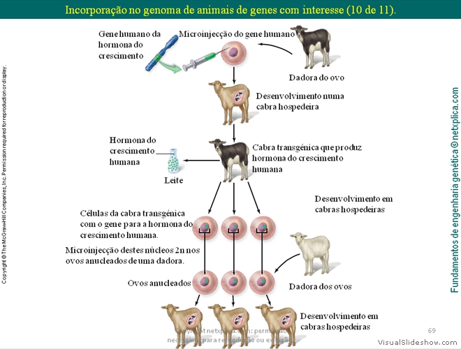 Diapositivo69