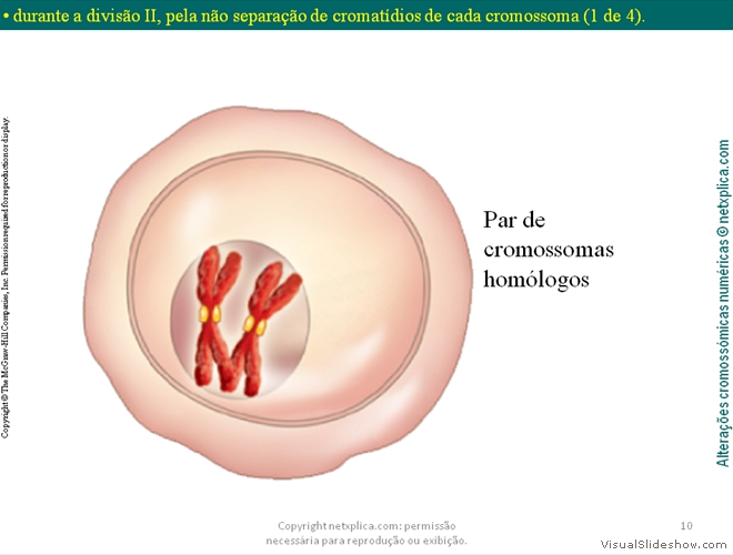 Diapositivo10