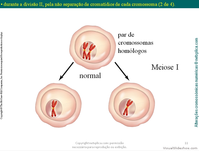 Diapositivo11