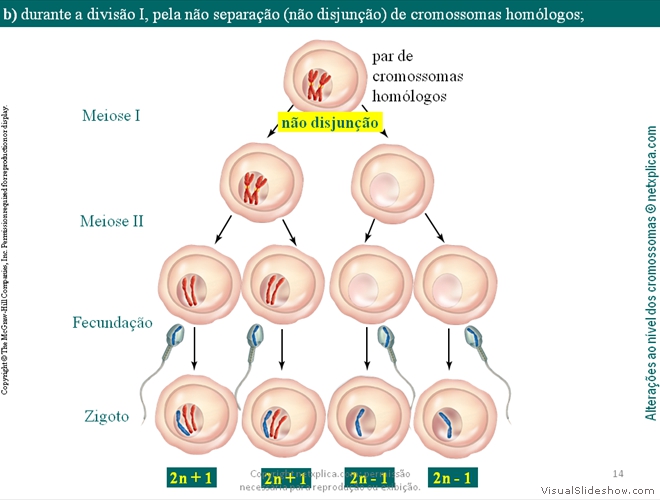 Diapositivo14