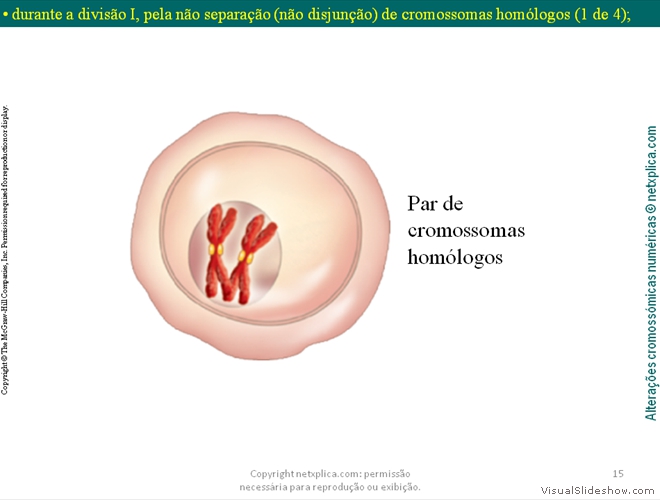 Diapositivo15