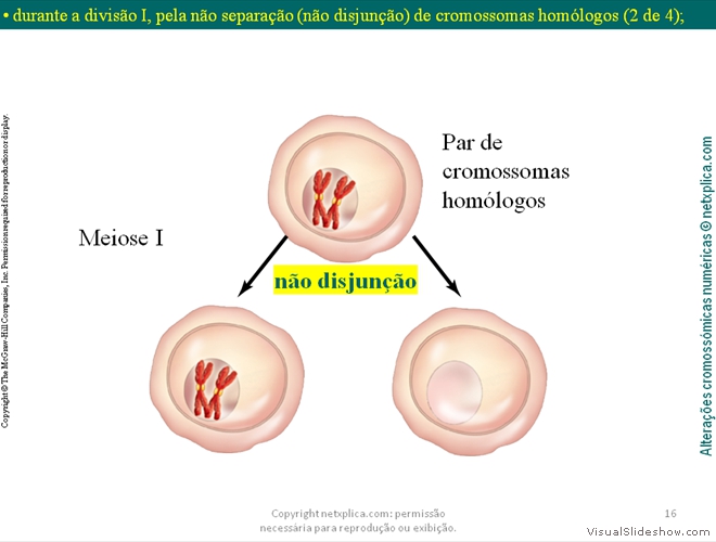 Diapositivo16