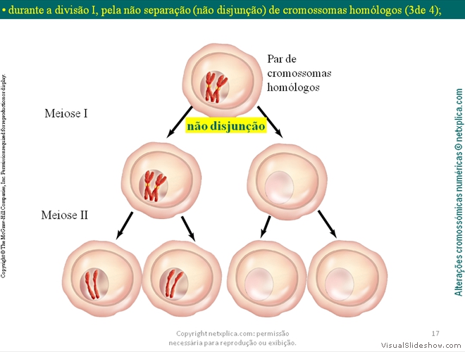 Diapositivo17