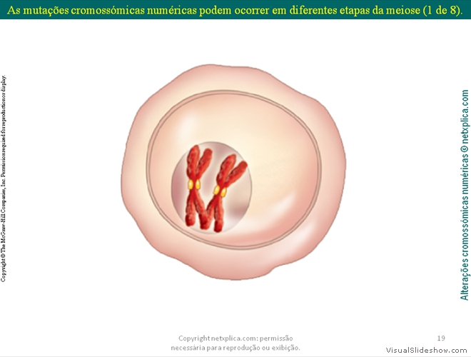 Diapositivo19