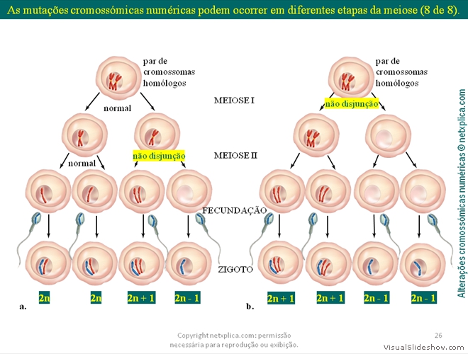 Diapositivo26